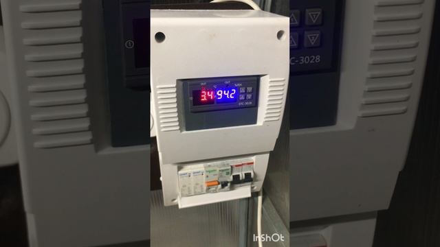 Как уберечь рассаду в теплице весной и в случае засухи летом