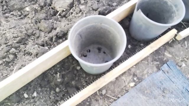 История хаски Люси серия1 mp4