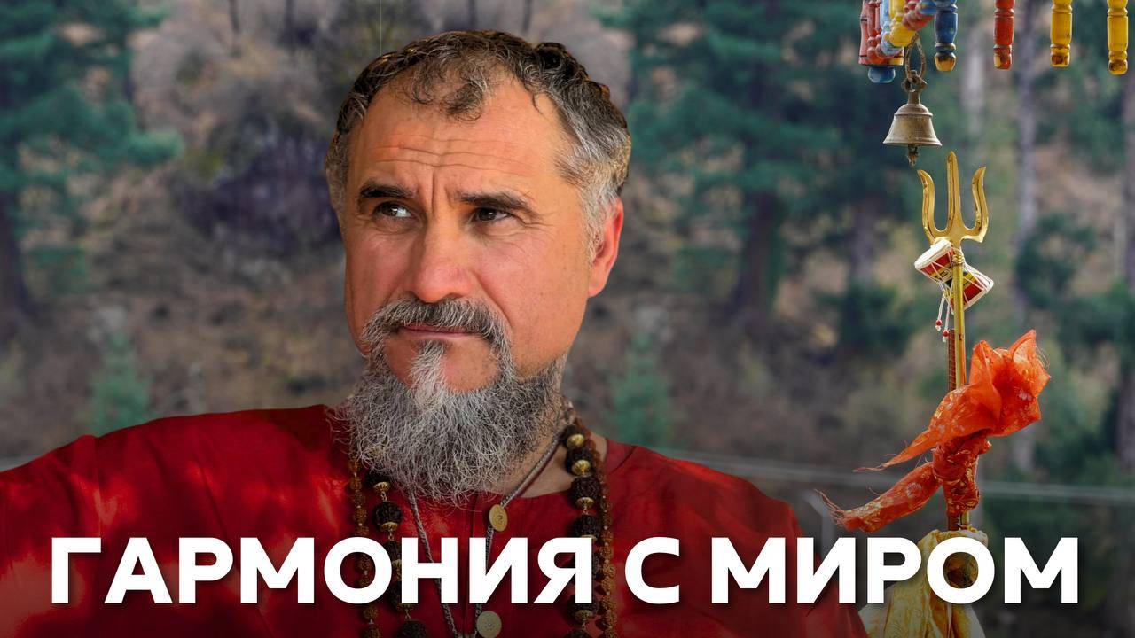 Гармония с Миром! 4 уровня духовных отношений: как Вселенная начинает вас питать