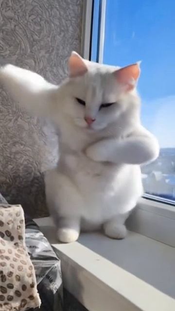 тудым-сюдым😁