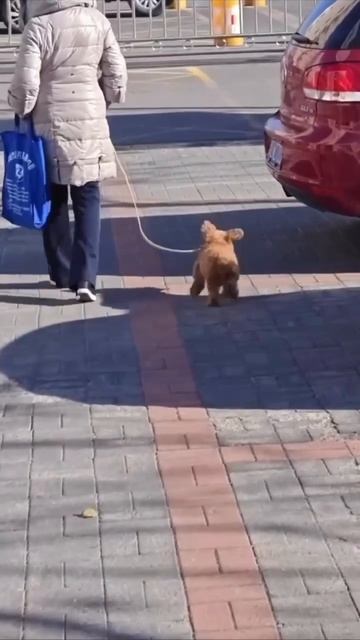 выходные