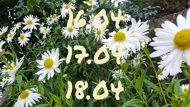 Лунный календарь для цветовода с14.04-20.04.25г.