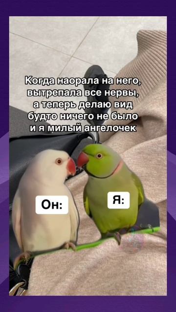 Юмор | Meme Clouds