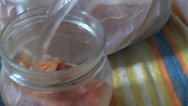 ПОДКОРМКА для  рассады КУКУРУЗЫ  Луковая шелуха   ПОДПИШИСЬ
