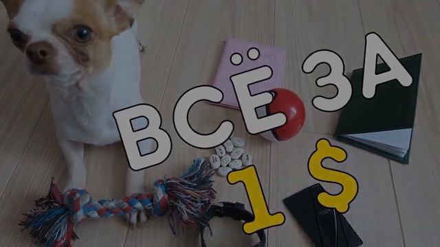 что купить с алиэкспресс!!!