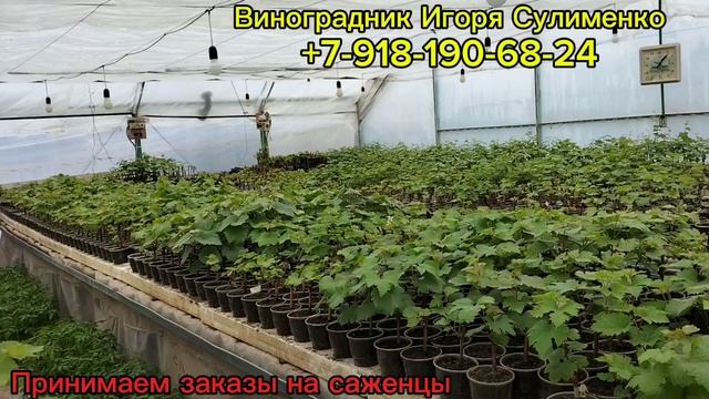 ШОК!!! СНЕГ В АПРЕЛЕ