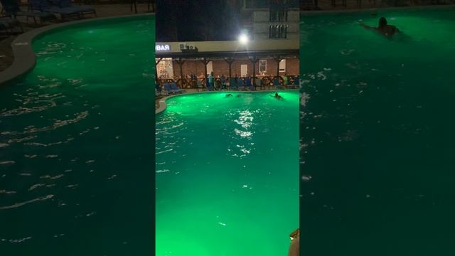 спортивный заплыв