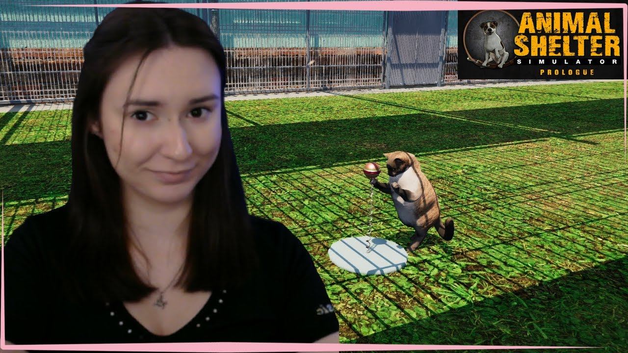 ФИНАЛ ДОБРОЙ ИГРЫ ► Animal Shelter #4