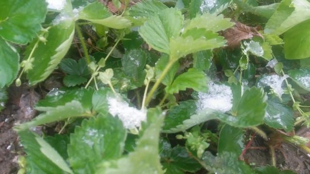 VID_20250412_110644
