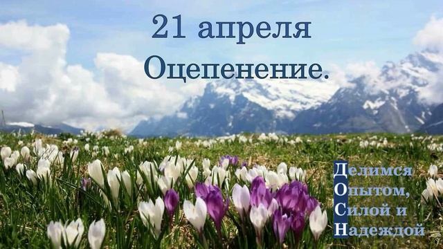 21 апреля. Оцепенение.