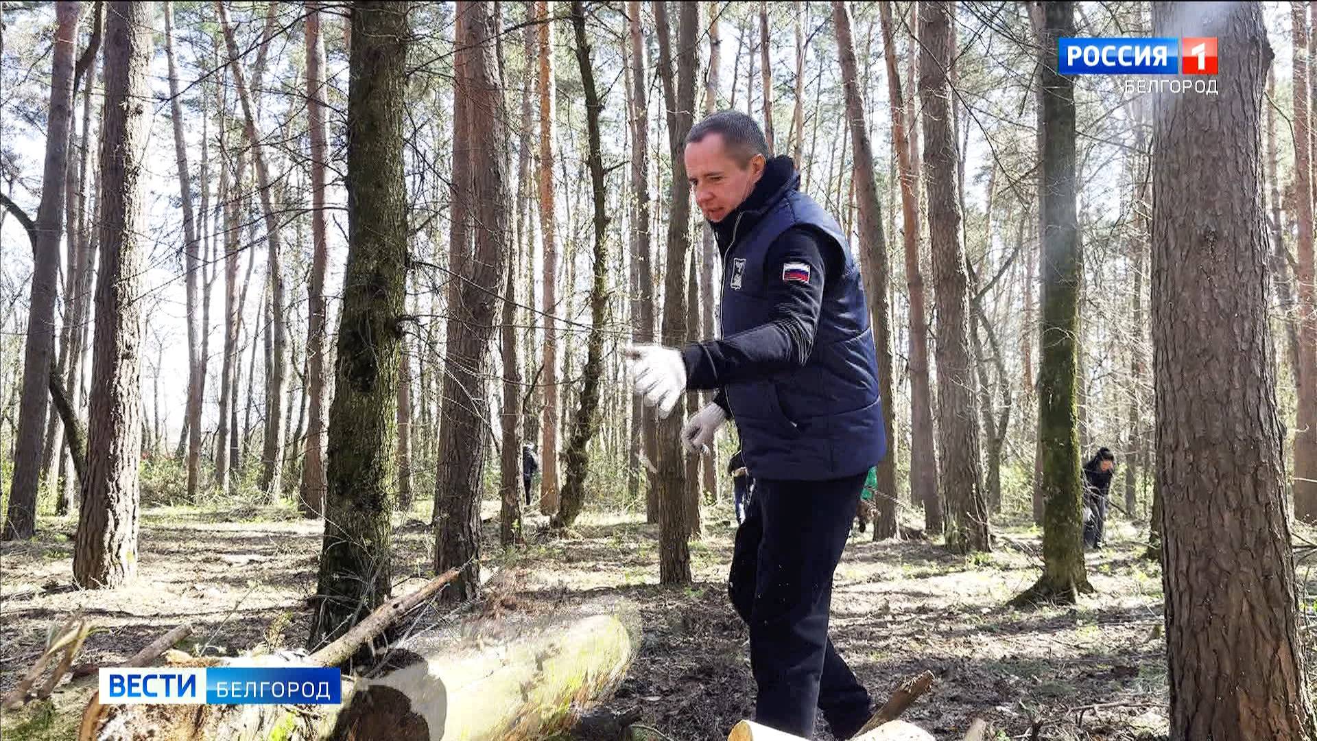 Вячеслав Гладков принял участие в месячнике добровольного служения Белгородской области