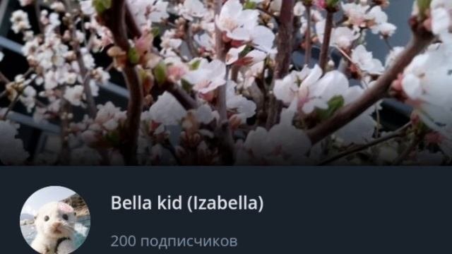 Клип на 200 подписчиков 💗 