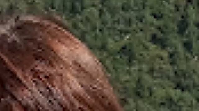 С днём рождения-