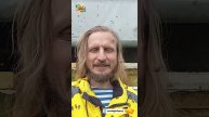 Первый полет пчел дома, после зимовки
