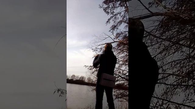 Сом12кг Сура март2025.mp4
