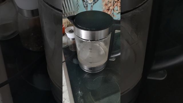 О Аквафоре Орлеан