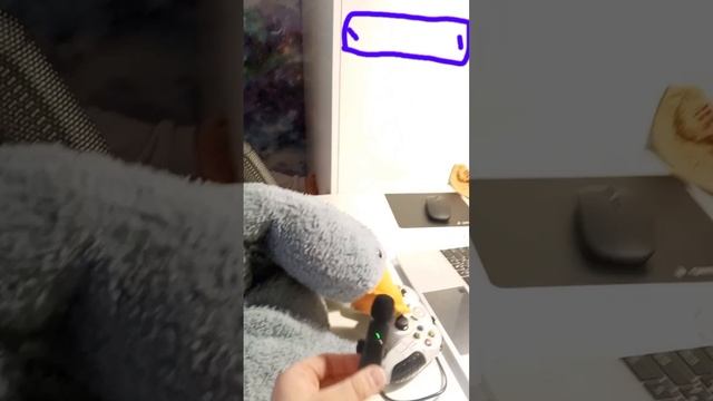 ГУСЬНОВОСТИ!!!