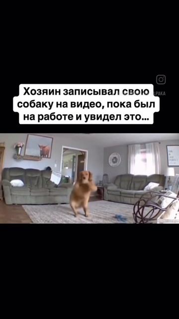 1000003352.mp4