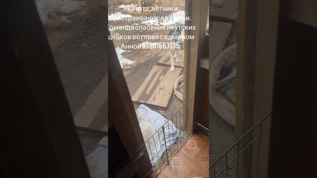 12-04-2025 якутята, лётчики