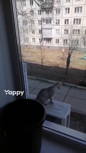 Риви решила от нас сбежать 😢