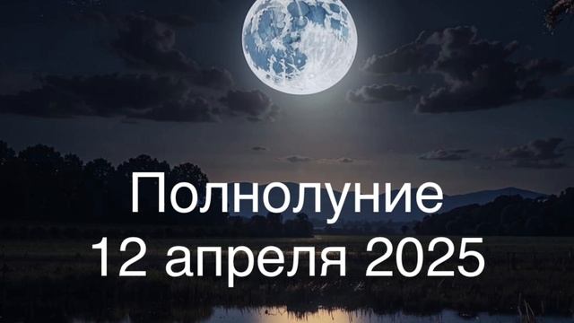12 апреля 2025