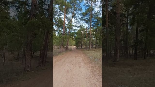 посёлок Прибрежный. Самарская
