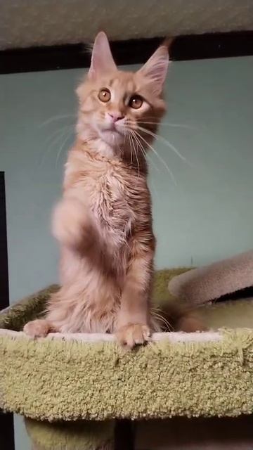 1000031621.mp4