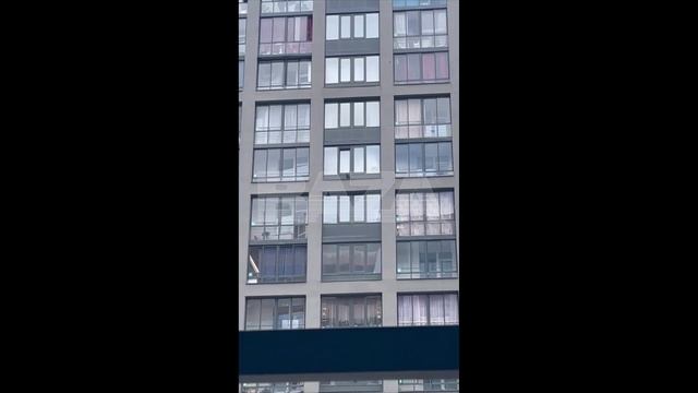 В Екатеринбурге люди устроили спецоперацию по спасению кота !!!