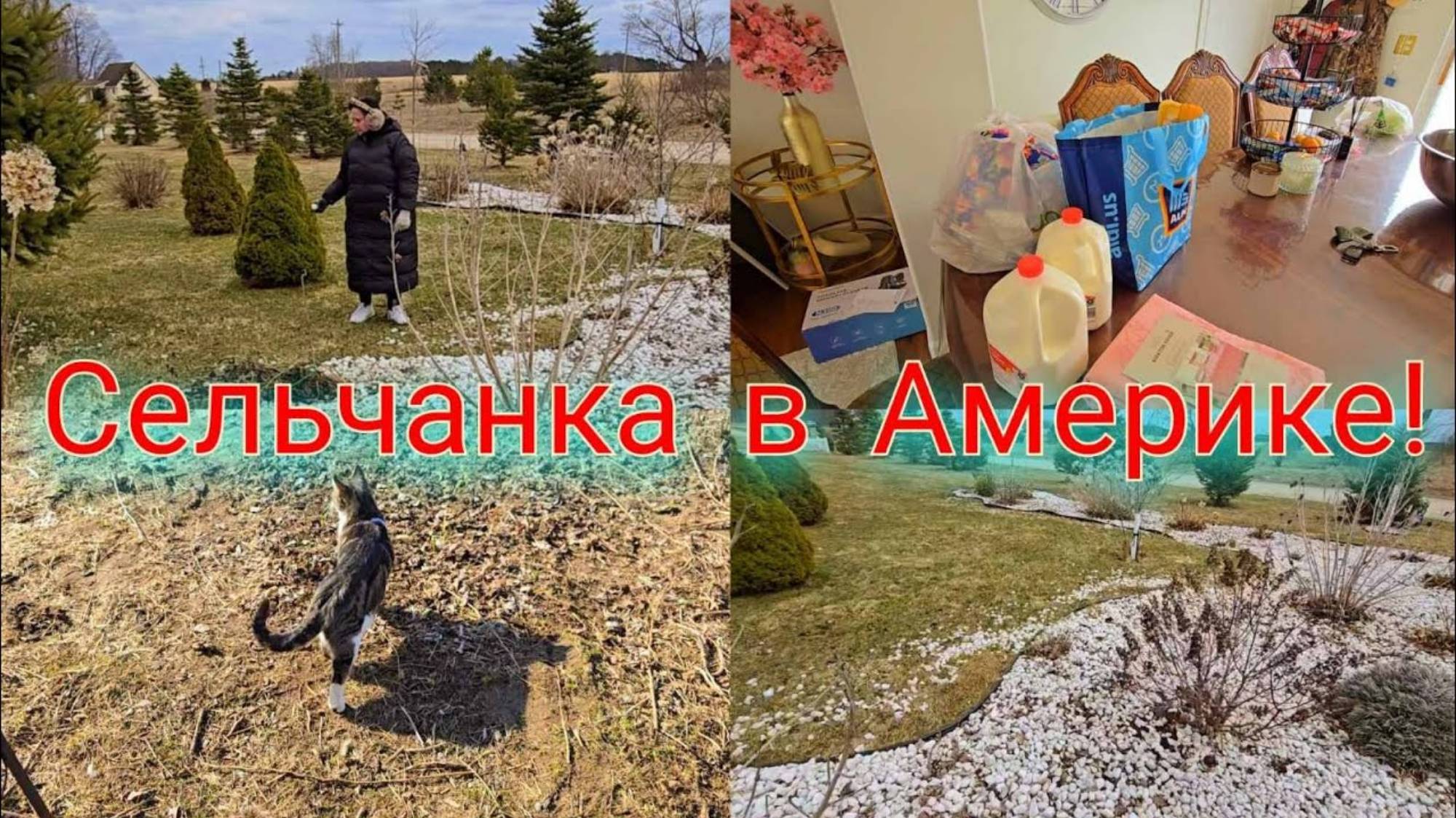 СЕЛЬЧАНКА В АМЕРИКЕ. СТОЛЬКО РАБОТЫ НЕЗНАЮ С ЧЕГО НАЧАТЬ!!!