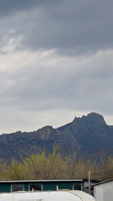 Погода в Крыму