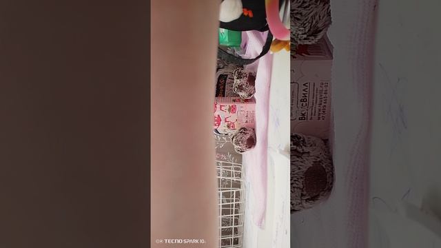 VID_20250412_150013