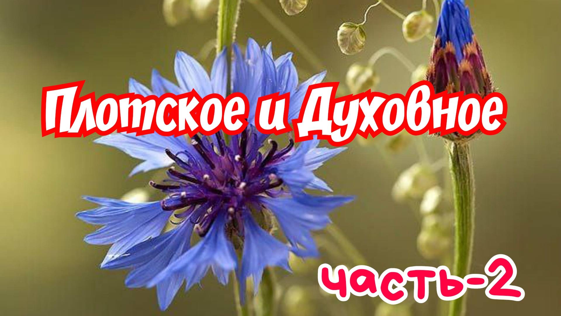 Плотское и Духовное. часть-2. 12.03.25