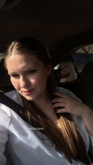 Как снять квартиру с собакой? Это возможно!