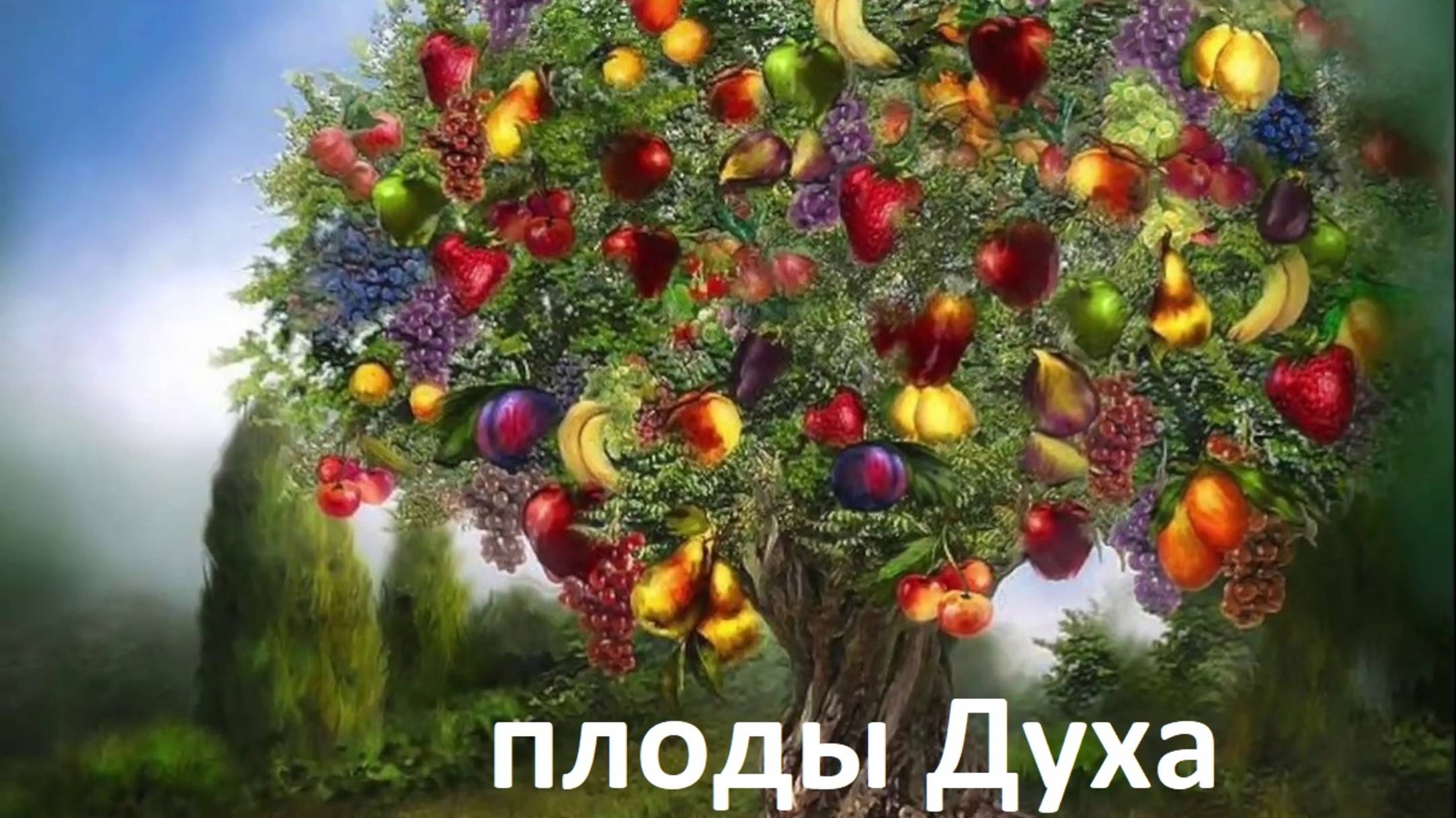 плоды духа