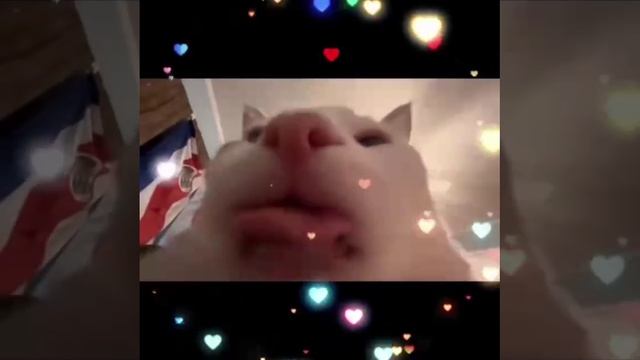 1000007214.mp4