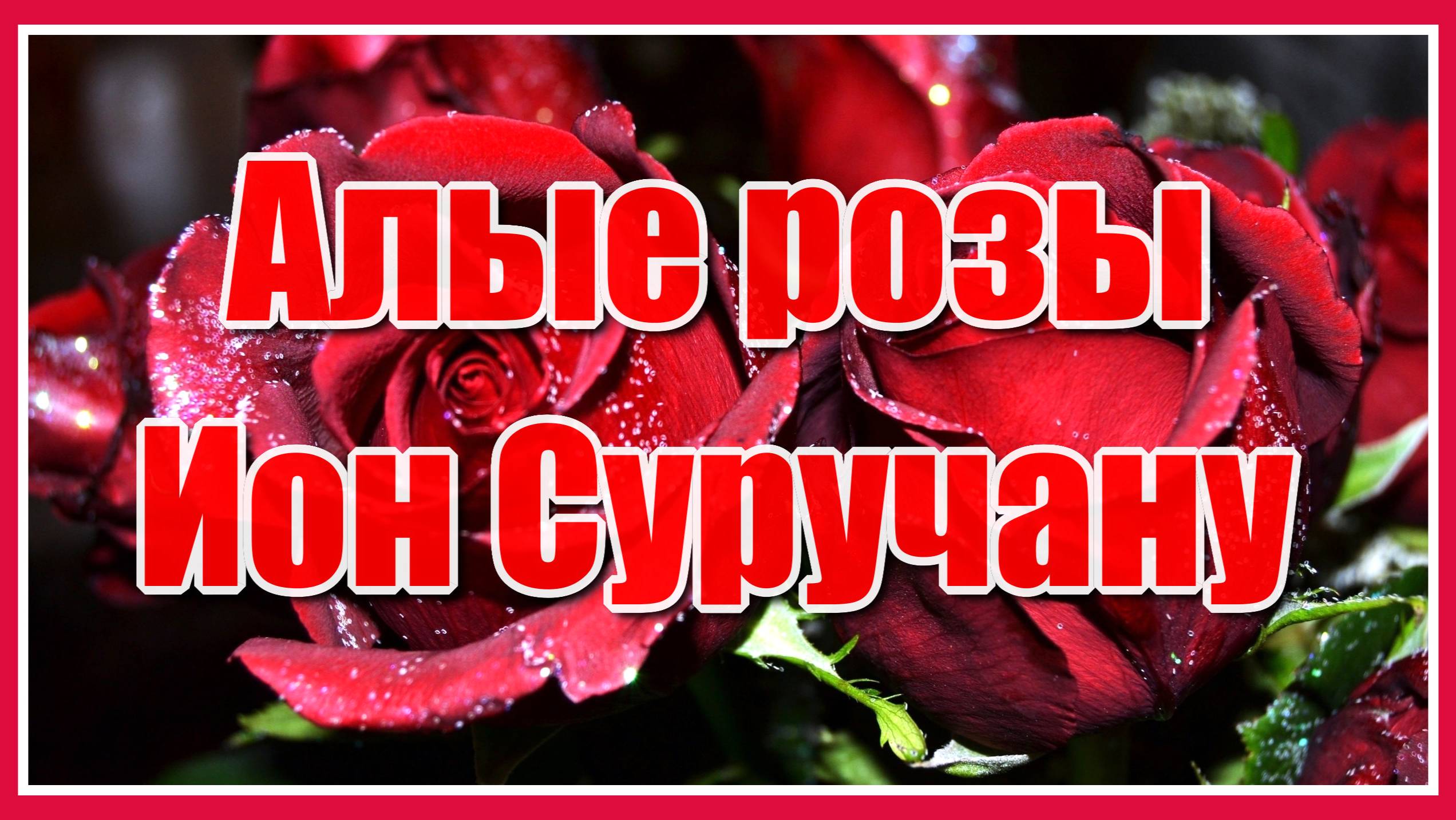 "Без любви засыхают алые розы любви..." Ион Суручану. Красивая песня о любви. Послушайте!