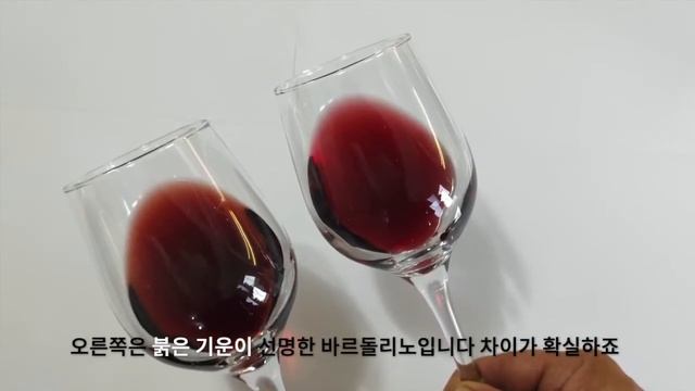 아마로네 발폴리첼라 와인 이야기 2 (와인의 색상 감별법은 와인의 손톱으로, 아빠씨멘토에서 생기는 곰팡이로 만드는 아마로네)