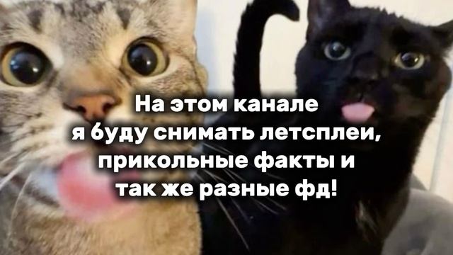 знакомство со мной :3