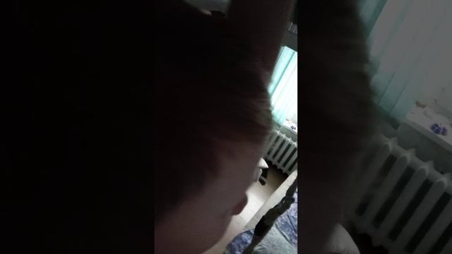 Путешествие в тайгу часть