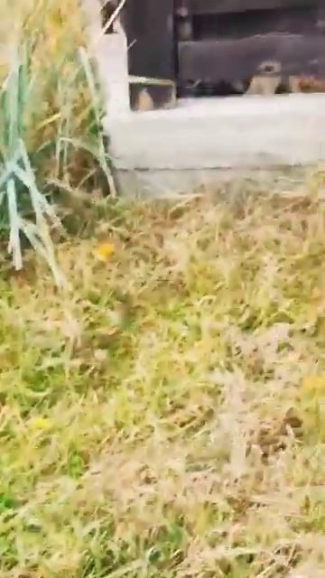 vstretil haters #haha