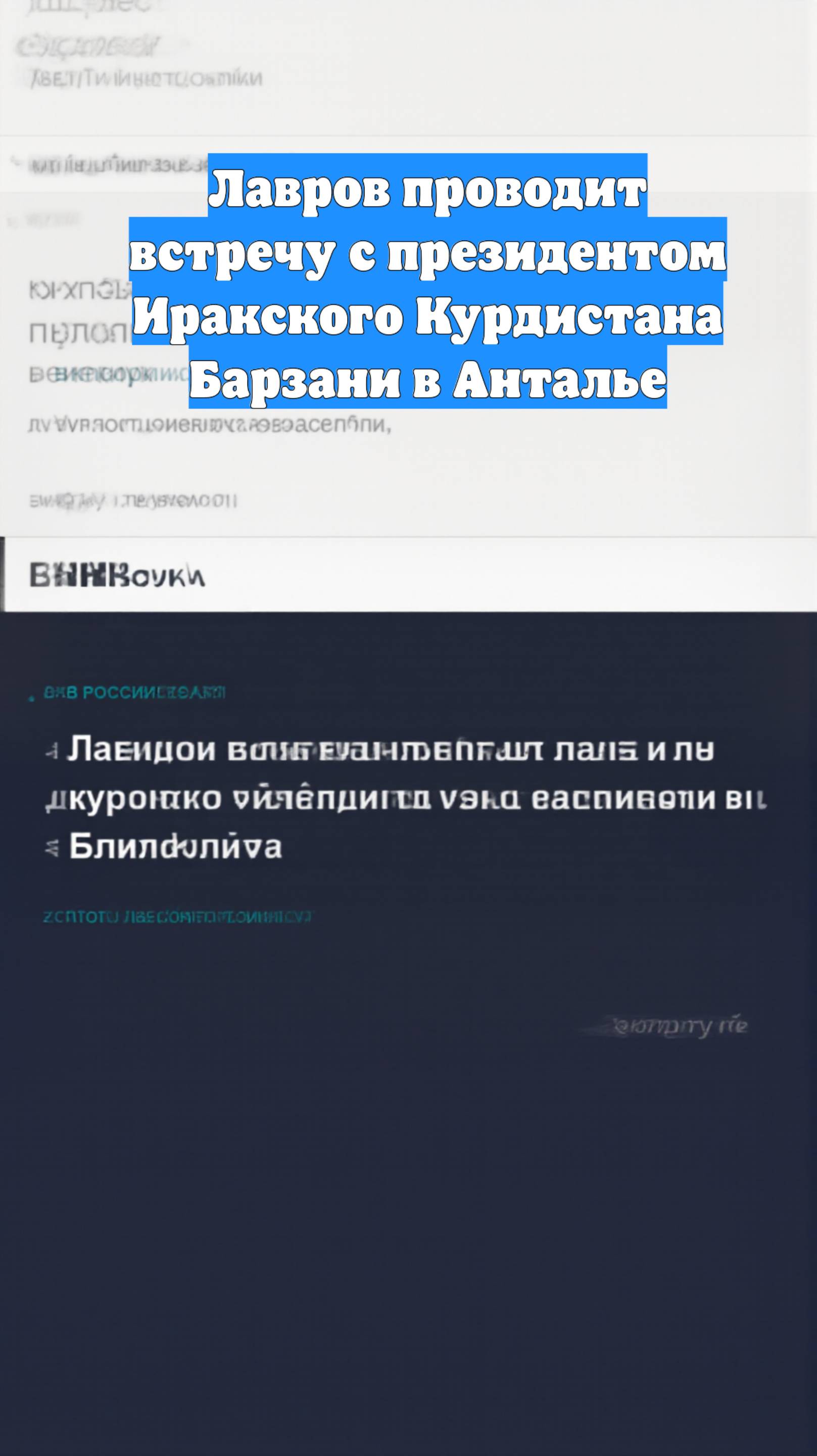 Лавров проводит встречу с президентом Иракского Курдистана Барзани в Анталье