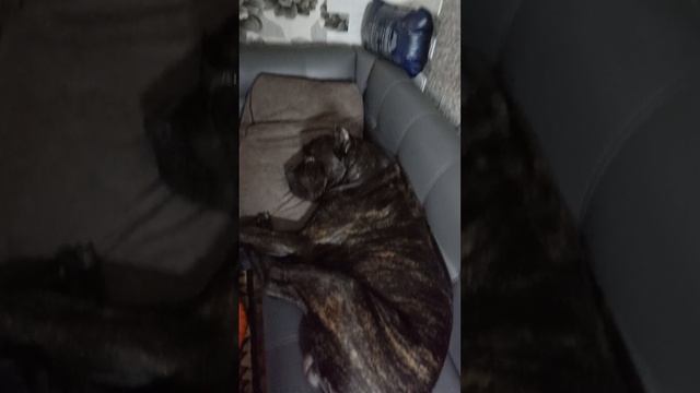 1000011717.mp4