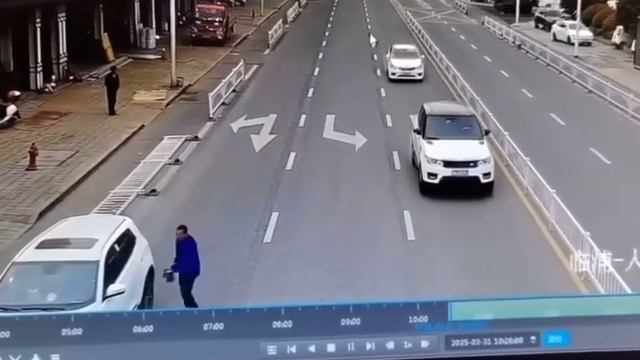 Собачье дтп