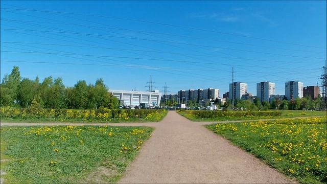 Ул.Хасанская. Заневский пр. 23.05 2024.