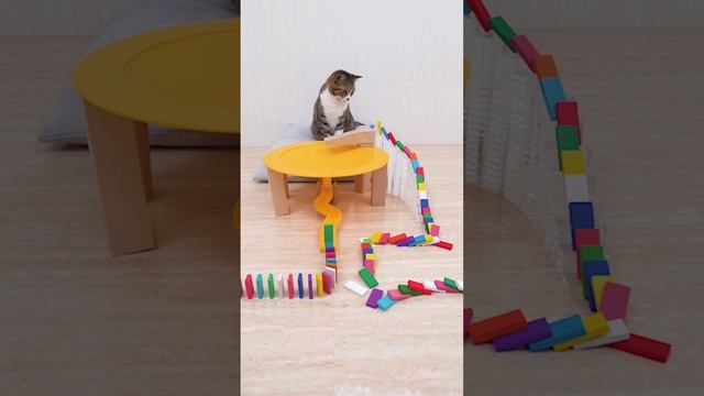 Анегдоты