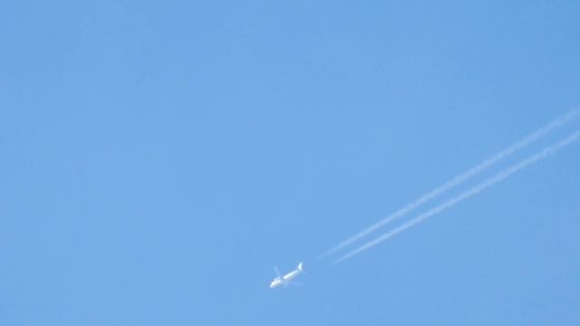 Стальная птица, Владивосток