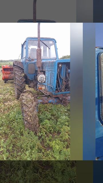 Агро сезон от А до Я