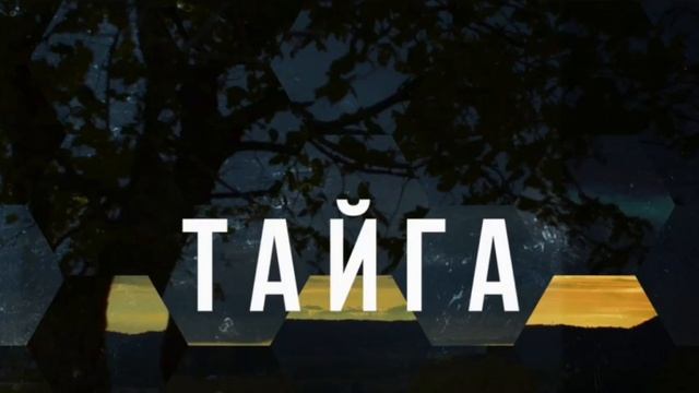 Смотреть бесплатно сериал тайг