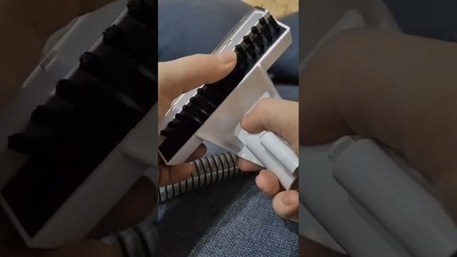 В доме буквально кипит жизнь 😅