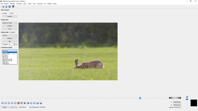 Programmi, programmini e utility - Editare video e clips con Avidemux